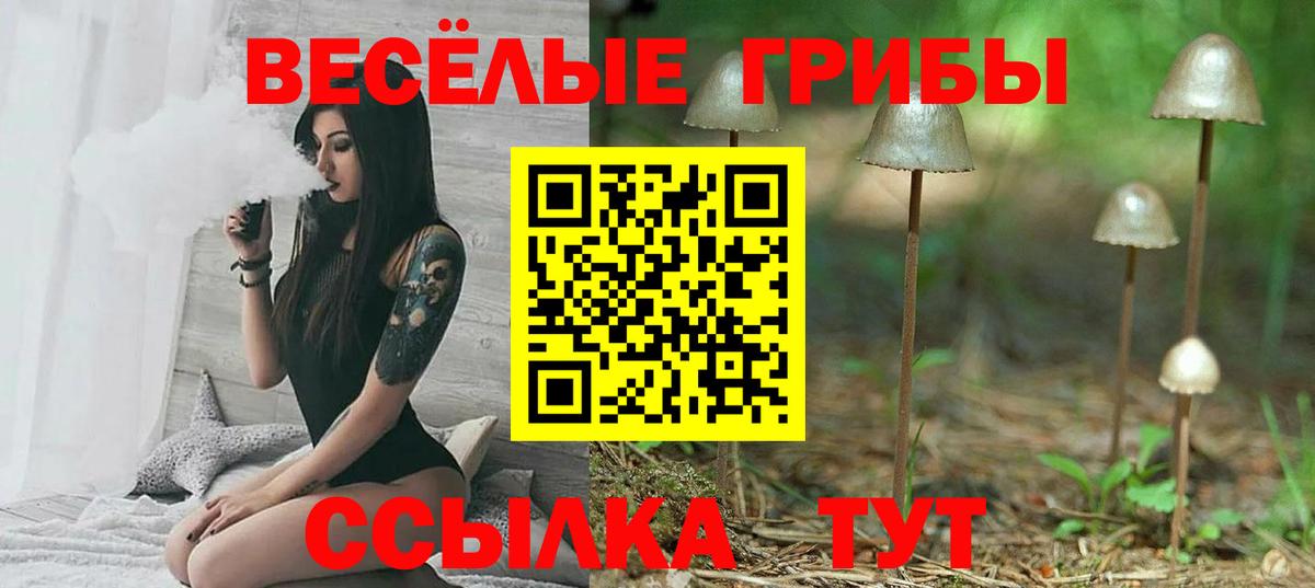 где продают   Псилоцибиновые грибы GOLDEN TEACHER  Вход с VPN  Щёлково 
